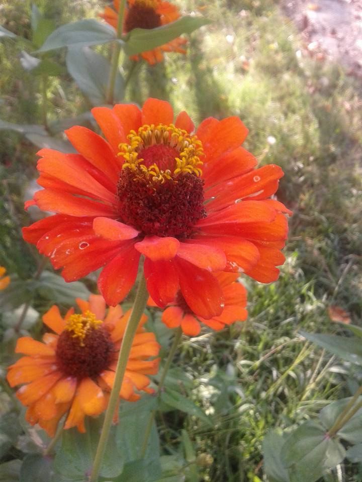 Ak....ok ey retir....insanla sana , bana....!